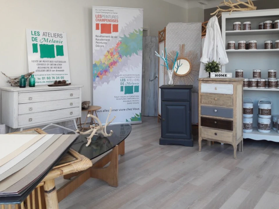 Atelier de peinture en bâtiment avec nuanciers colorés déployés en éventail, pinceaux professionnels aux manches ergonomiques bois et plastique, soies naturelles et synthétiques